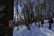 Alla croce del Monte Ocone (1363 m) dalla Forcella Alta il 20 febbraio 2016 - FOTOGALLERY